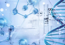 Bioendo LAL Reagent (TAL Reagent)Was Used In Change Of Intestinal Mucosa Barrier Function In The Progress Of Non-Alcoholic Steatohepatitis In Rats